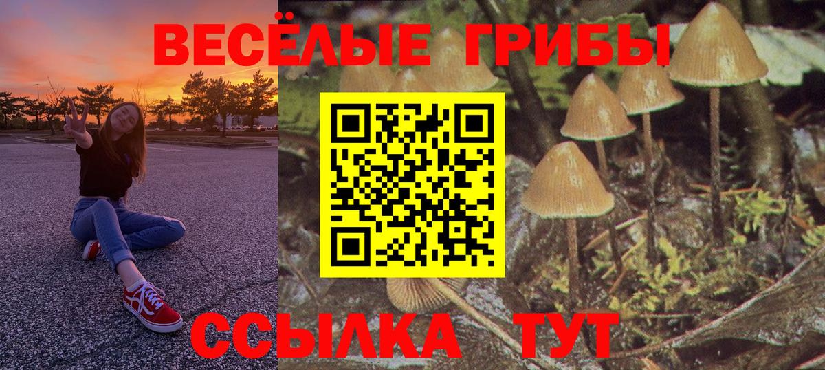 Галлюциногенные грибы мухоморы  Галлюциногенные грибы мухоморы  Майский  Вход с VPN 